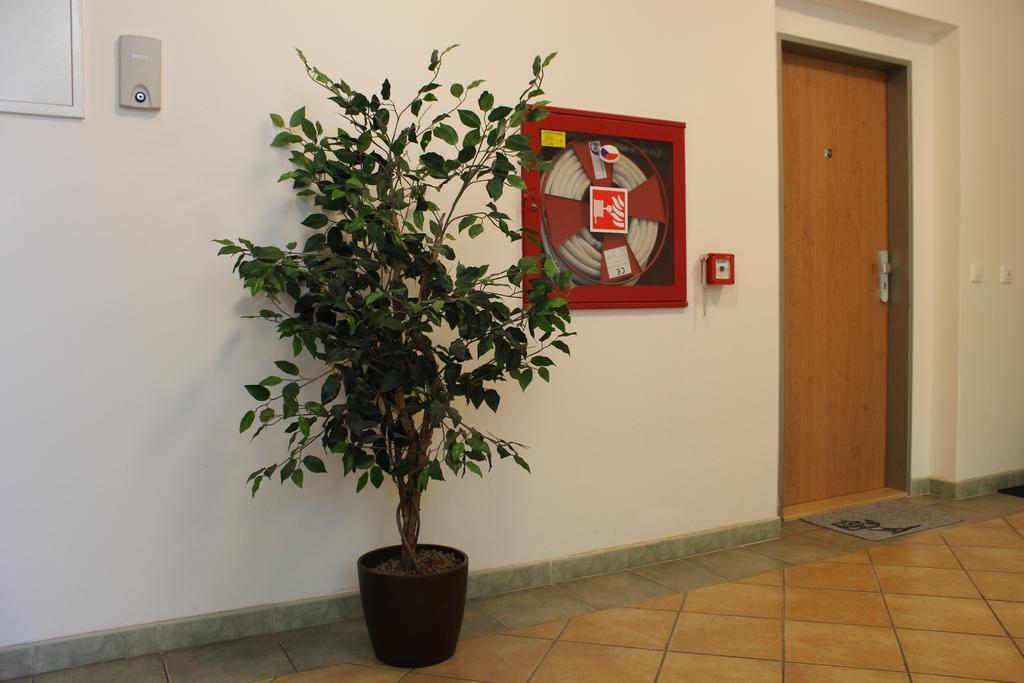 Apartment Promenada Podiebrady Zewnętrze zdjęcie