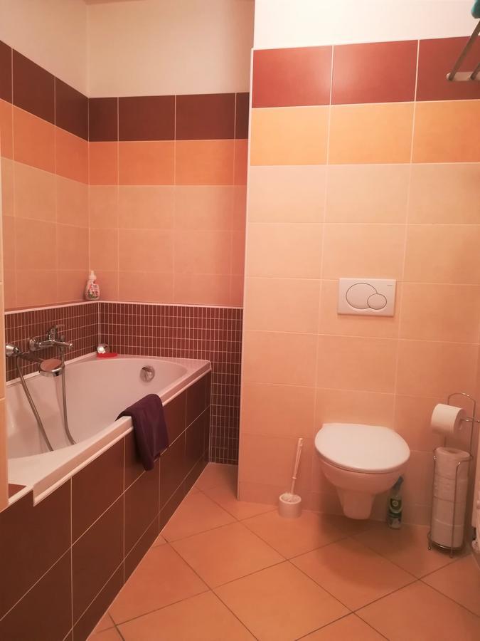 Apartment Promenada Podiebrady Zewnętrze zdjęcie